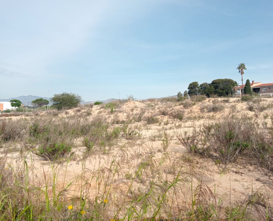 Property #RH20325 - 5