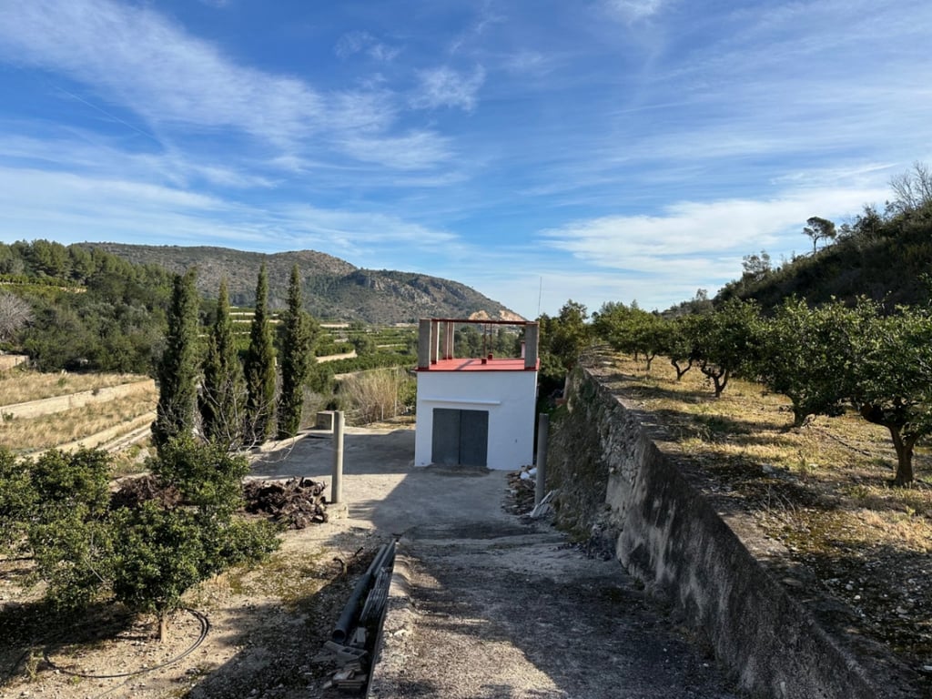 Gran Finca de Naranjos con Vistas al Mar y Posibilidad de Vivienda - 2