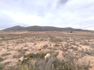 Property #TSR2408C - Image 2