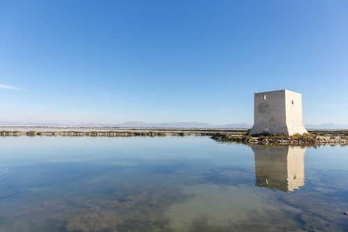 Nieuwbouwappartement in een groen complex in Santa Pola — foto 10
