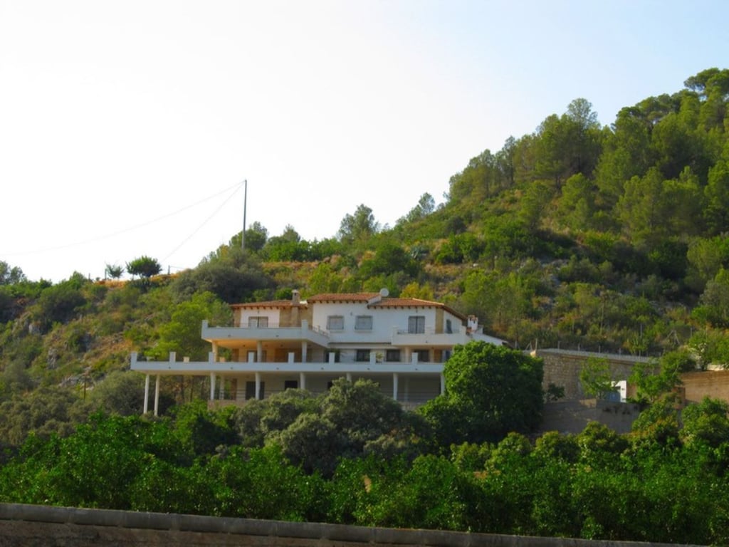 Finca amb plantacion d' alvocats a Forna - 30