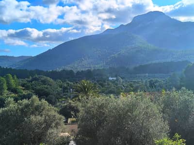 Property #TSR1574C - Image 4