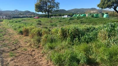 Property #TSR1462C - Image 2