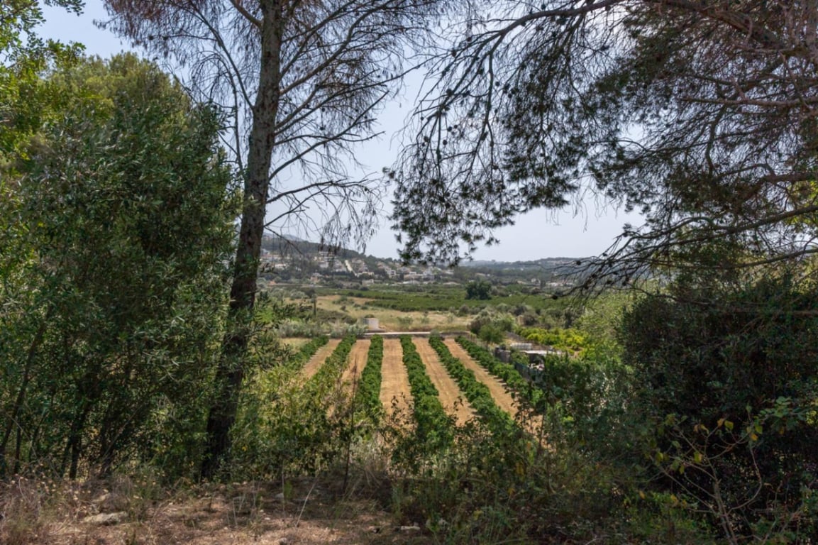 Villa con vistas abiertas en zona tranquila próxima al centro del pueblo de Jávea - 55