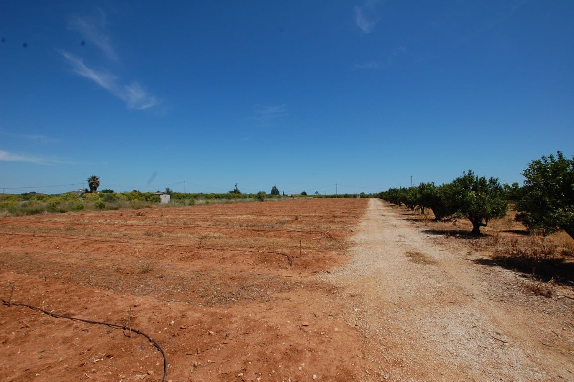 Terreny rústic de 22.000 metres quadrats a Pego - 8