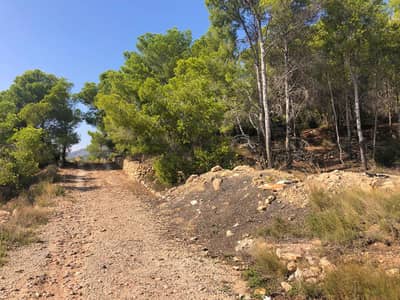 Property #TRA5239 - Image 3