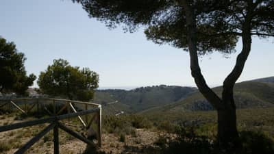 Property #AD 251 - Image 3