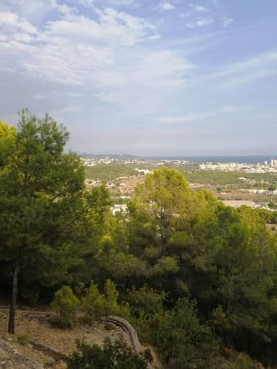 Property #TRA5322 - Image 4