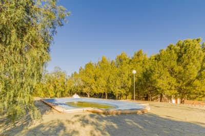 Property #TSR1806C - Image 3