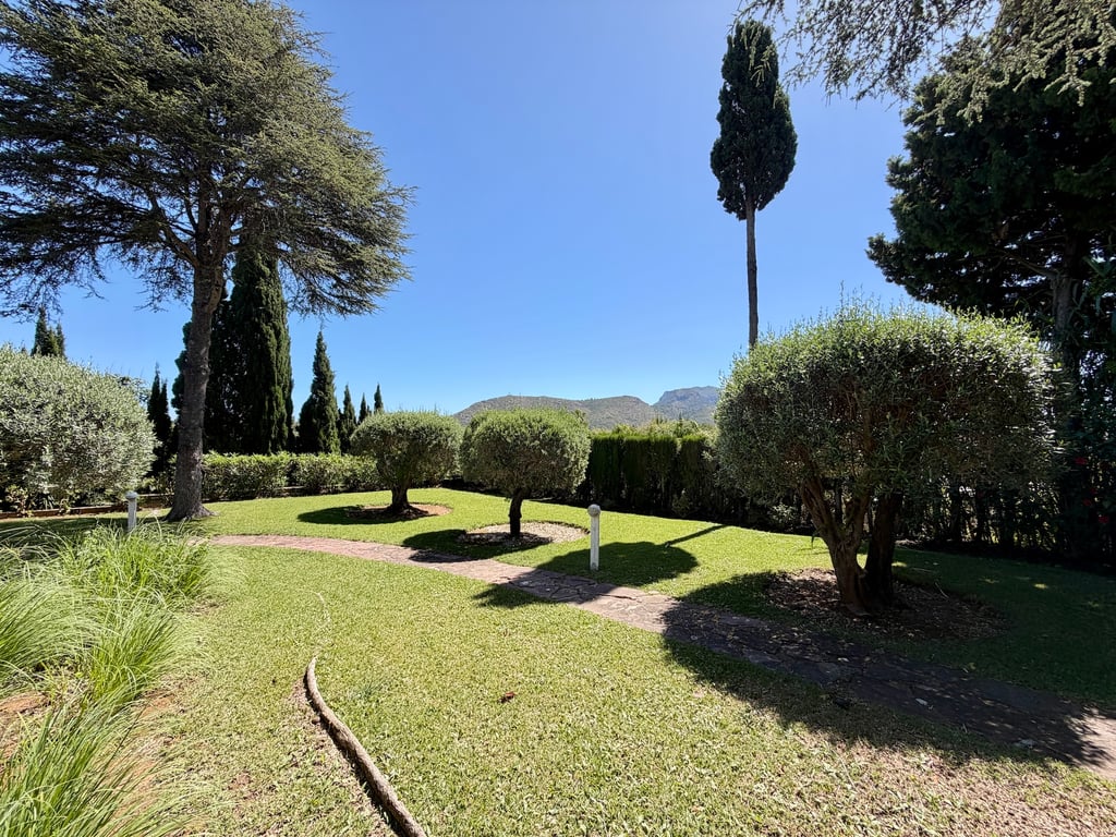LS-116642 - Villa en Pedreguer