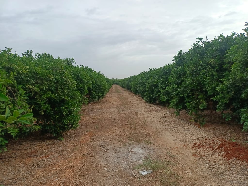 Property #RH20350 - 3