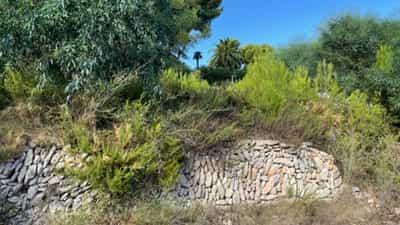 Property #AD 162 3