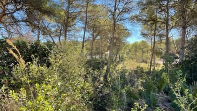 Property #TSR1431C - Image 3