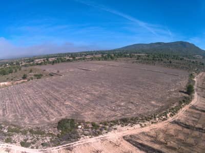 Property #TSR3361C - Image 4