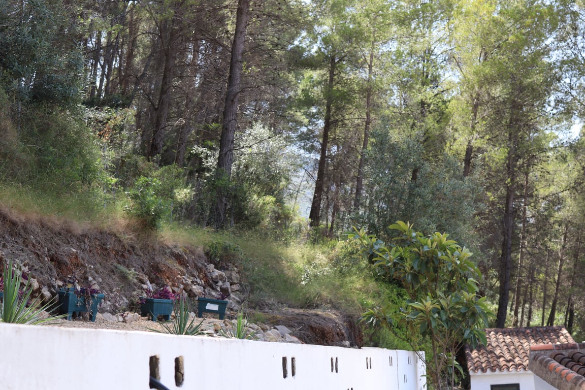 Property #RH20898 - 44