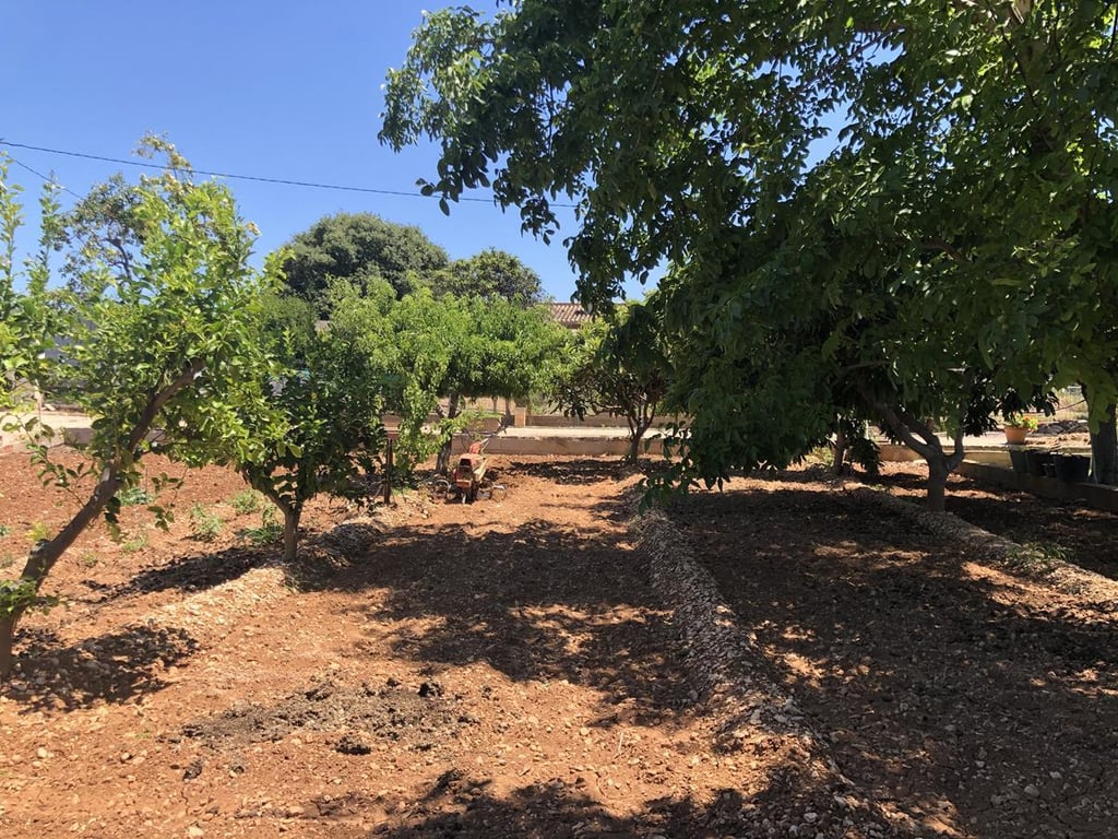 Ondara. Casa de campo amplia con piscina en venta - 15