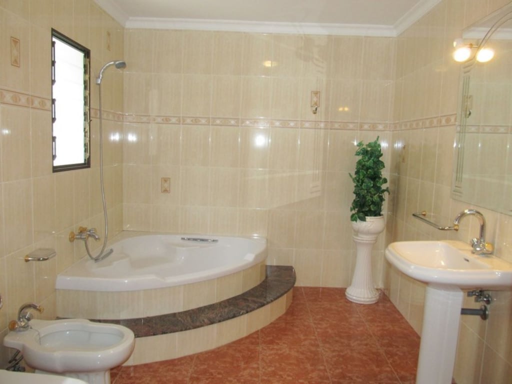 Finca amb plantacion d' alvocats a Forna - 23