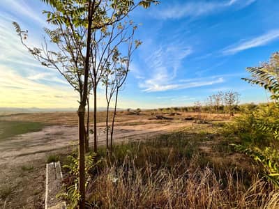 Property #TSR2788C - Image 3