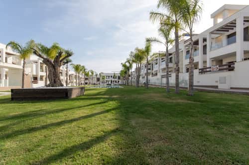 Bungalow met eigen solarium en uitzicht op het zoutmeer in Los Balcones, Torrevieja — foto 29