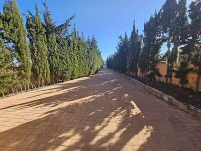 Property #TSR2476C - Image 3