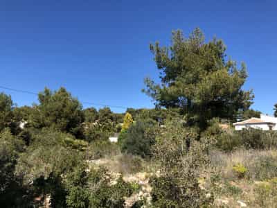 Property #AD 105 0