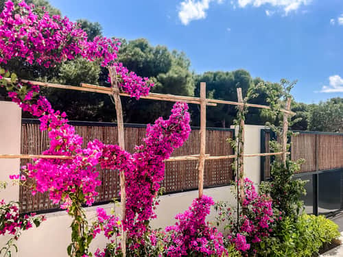 Appartement met 3 slaapkamers in San Javier — foto 30