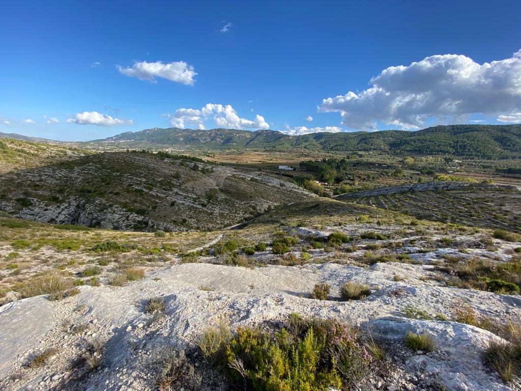 Se vende Terreno/Coto de Caza en Bocairente - 9