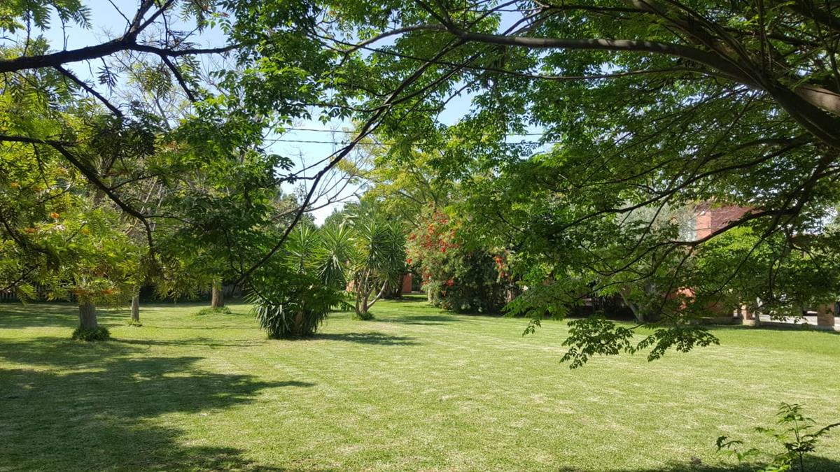 Ondara. Finca amplia en venta - 8