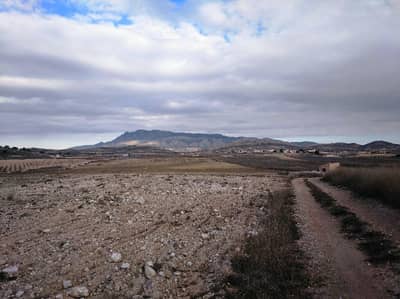 Property #TSR3447C - Image 5