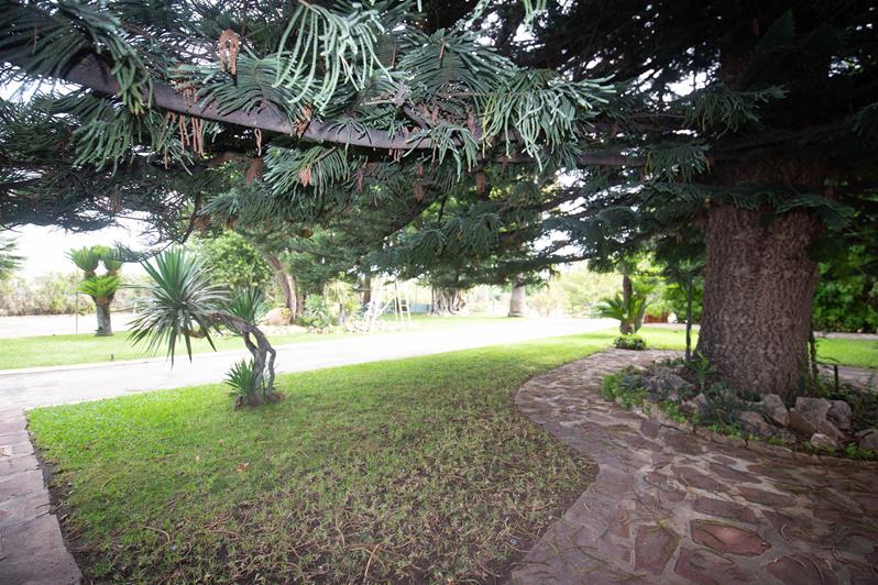 Venta Parcela urbana y Chalet - 5