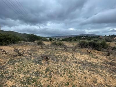 Property R4670089 - Image 2