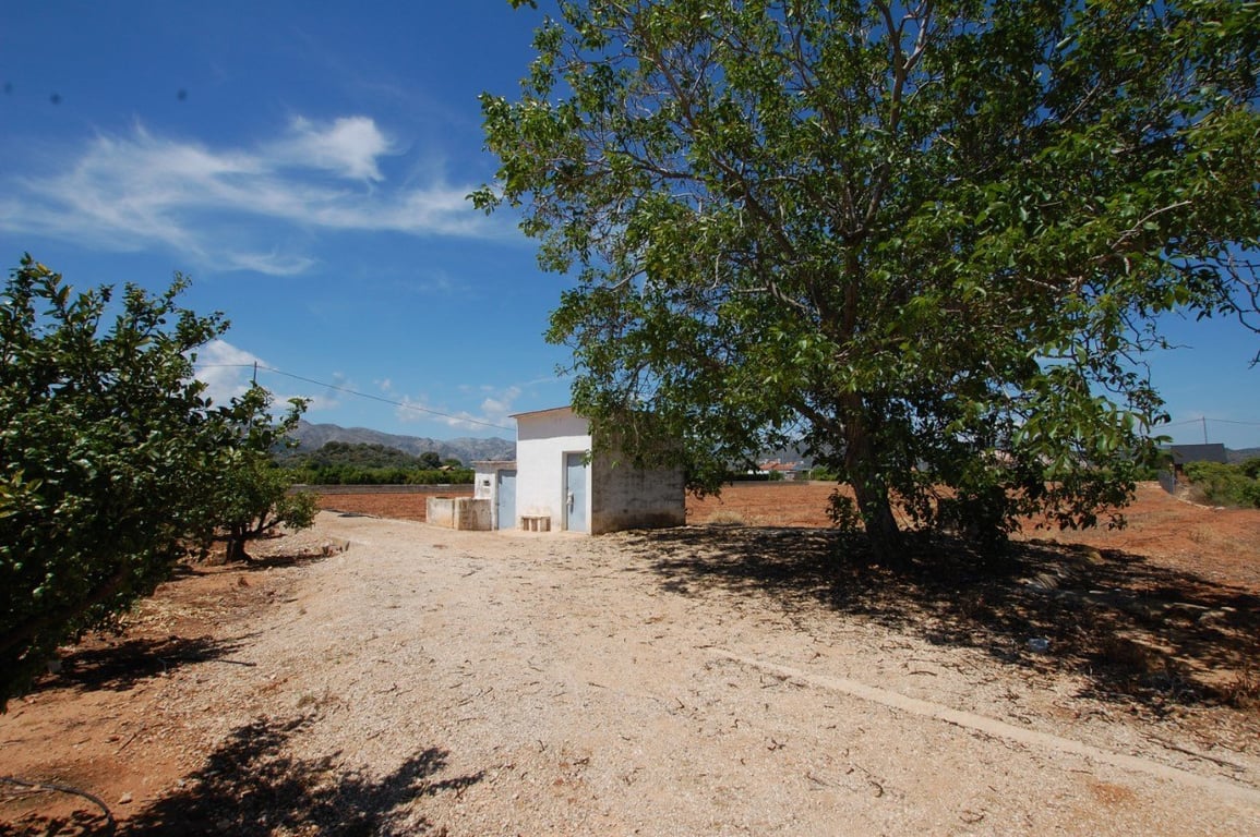 Terreny rústic de 22.000 metres quadrats a Pego - 7