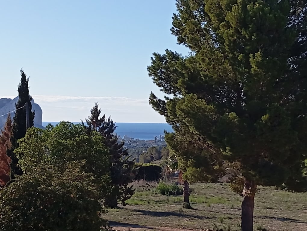 Se vende  finca antigua en Benissa - 2