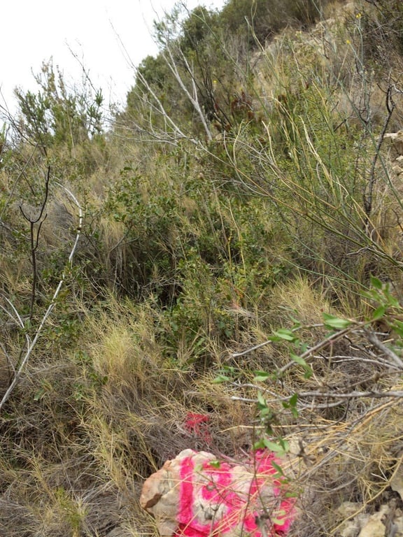 Se vende parcela en pedreguer con licencia de construccion - 30