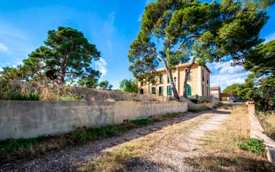 Property #TSR3551C - Image 3