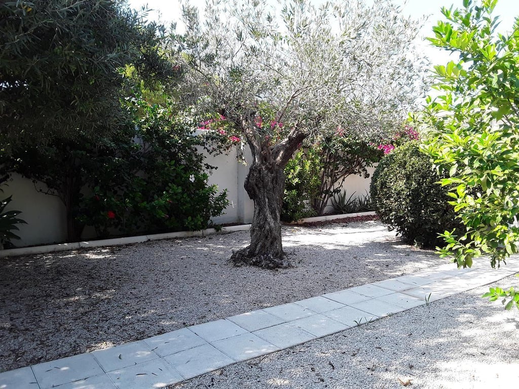 Chalet/adosado primera linea de playa a Denia - 38