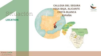 Property #TSR3008C - Image 2