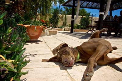 Property #TSR1822C - Image 4