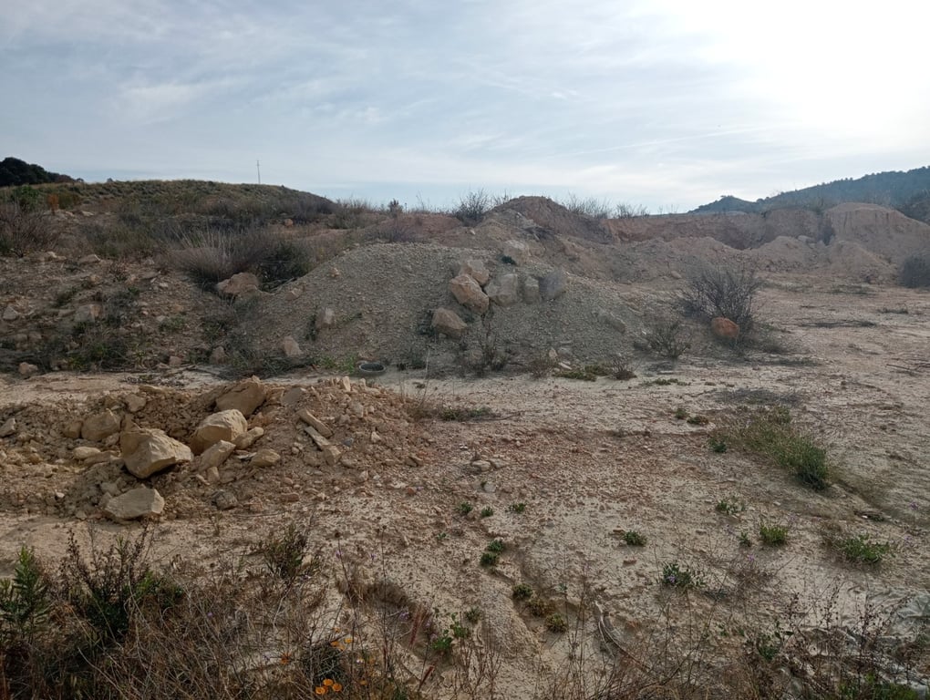 Property #RH20325 - 11