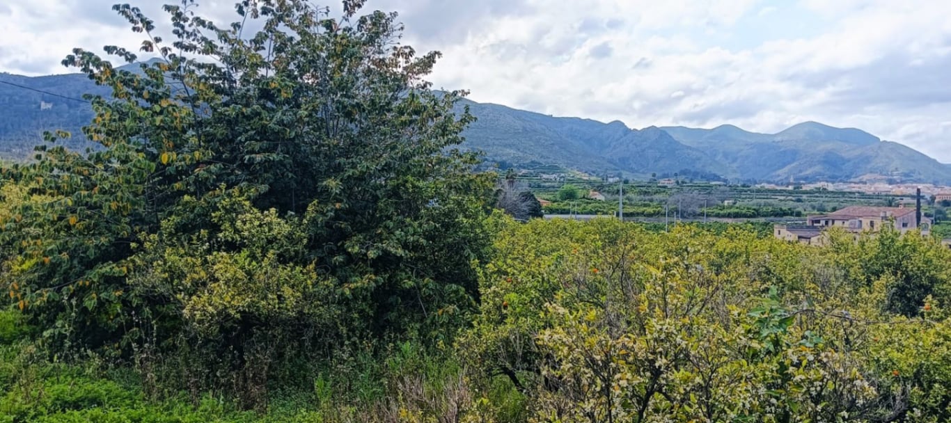 Terreny a Pego apte per a la construcció amb llum i aigua. - 4