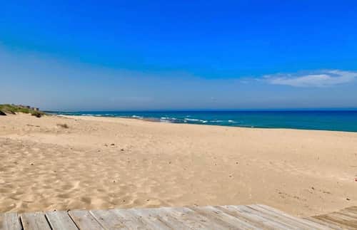 Appartement met 2 slaapkamers in Torrevieja — foto 42