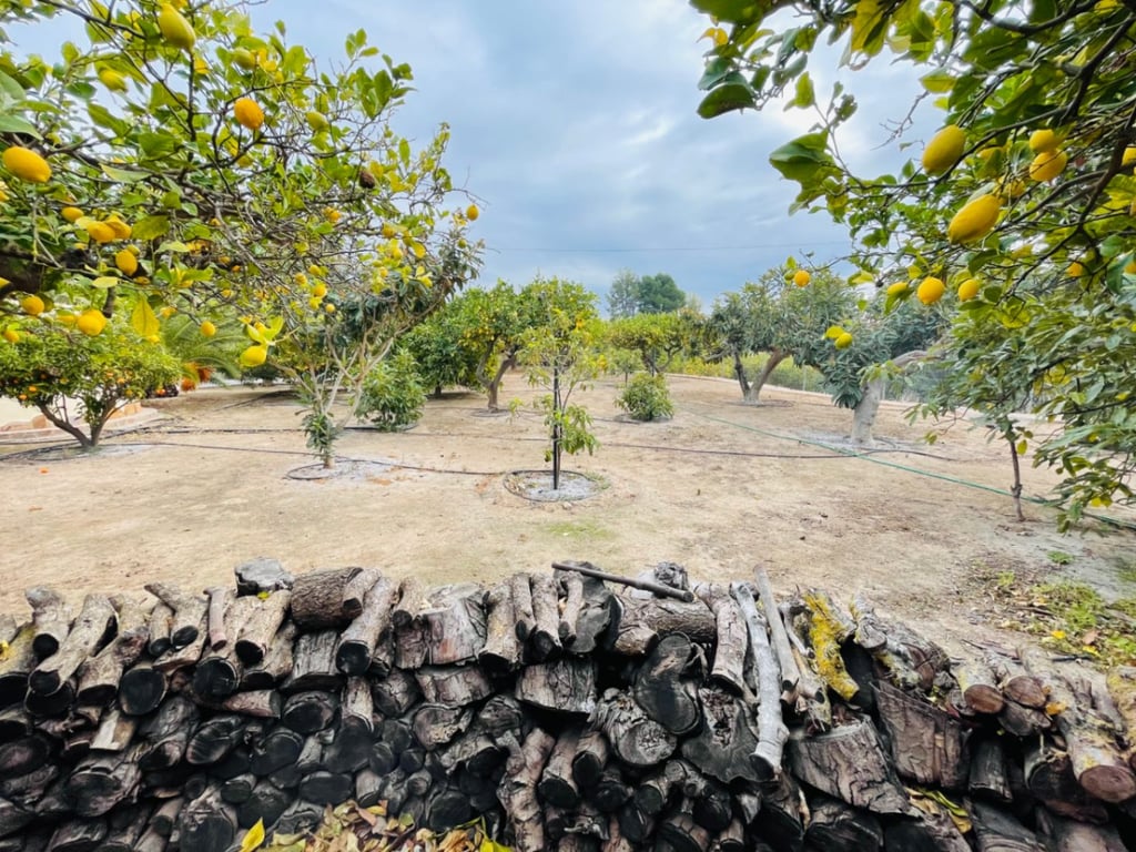 Altea La Vella. Casa de campo grande con casa de invitados en venta - 35