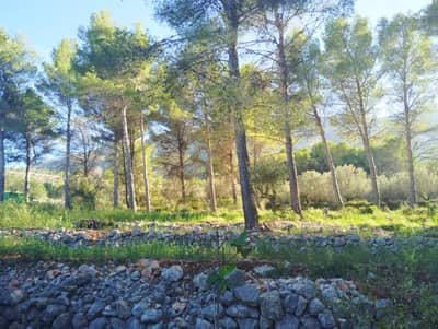 Property #TSR1558C - Image 5