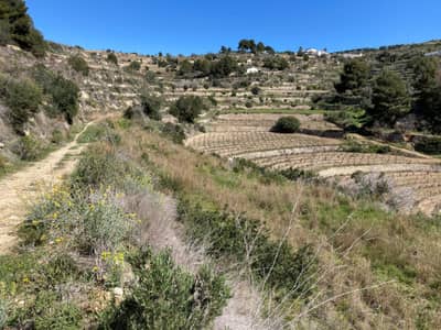 Property #HFF3101A 2