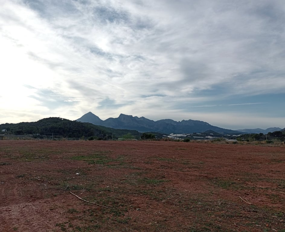 Property #RH20401 - 4