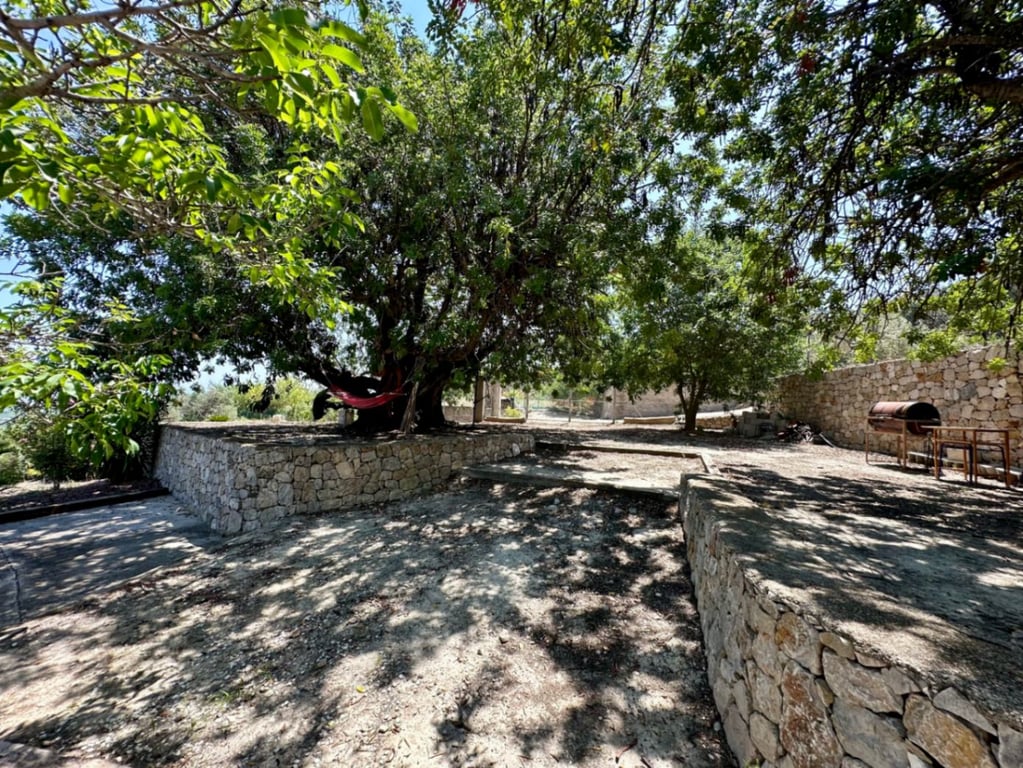 Finca rústica amb bones vistes a Pego - 5