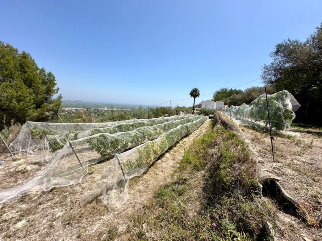 Finca rústica amb bones vistes a Pego - 12