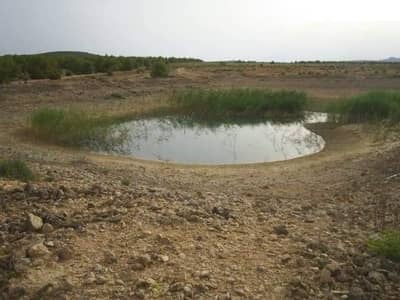 Property #TSR1632C - Image 2