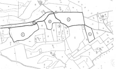 Property #TSR3303C - Image 2