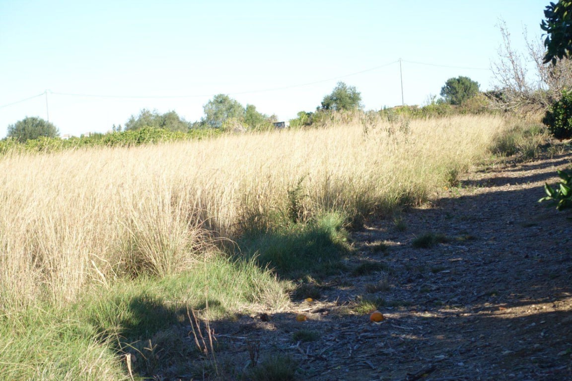 Parcela en Els Verger - 3